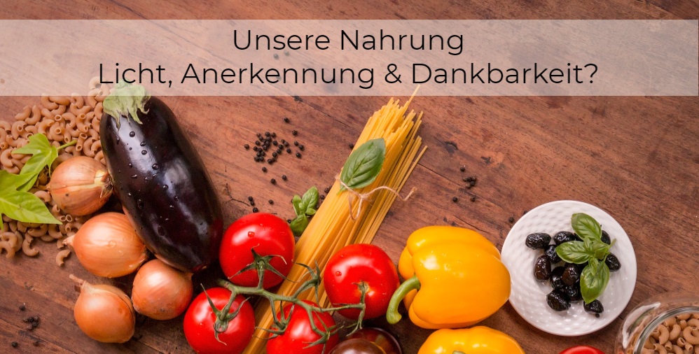 Wie passen Nahrung, Licht, Anerkennung und Dankbarkeit zusammen?