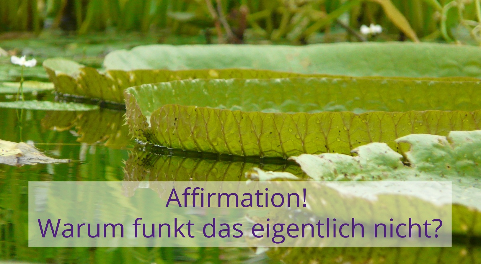 Affirmationen | Warum funkt das eingentlich nicht?