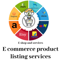 The role of data entry services for the growth of the e-commerce site