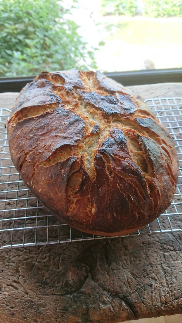 home bread