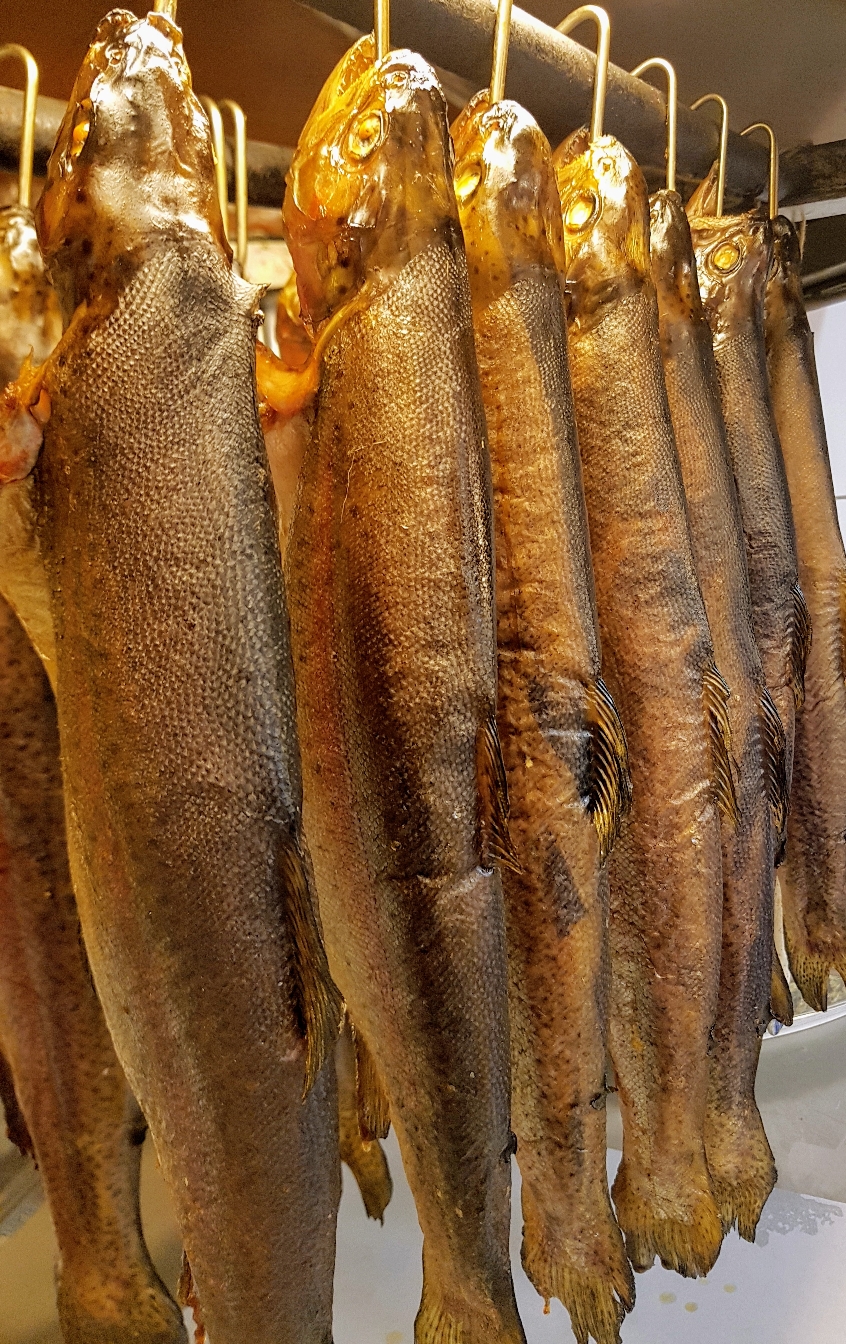 STARTSEITE Stobbe Feines von WILD & FISCH STARTSEITE Stobbe Feines von WILD & FISCH