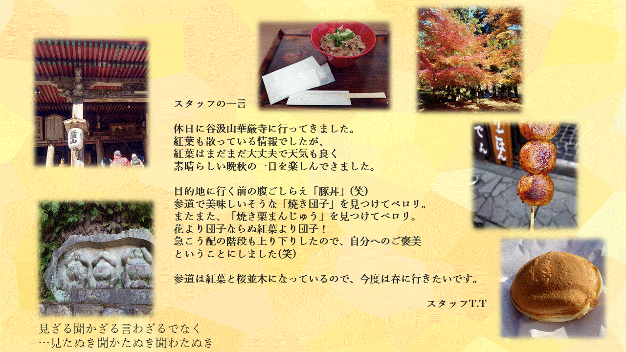 スタッフの一言