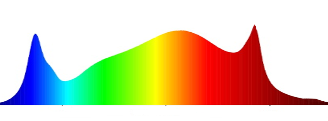 Horizon Areas Led Pflanzenbeleuchtung