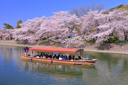 宇治川