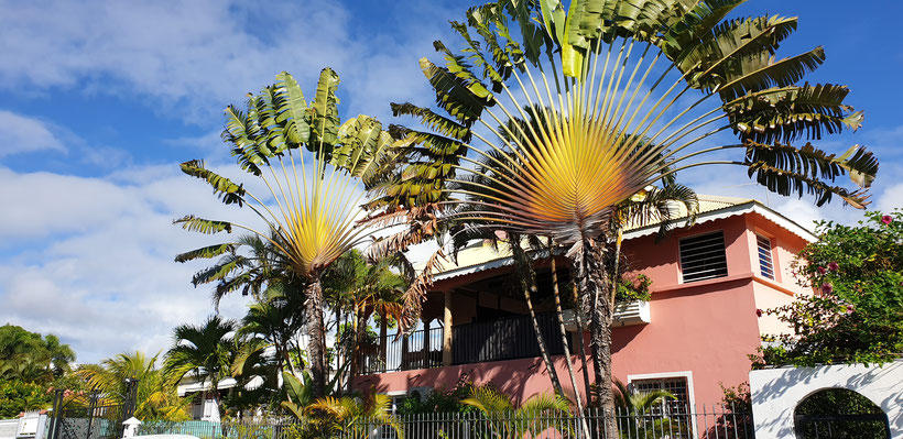 Villa Couleurs Antilles, location de gîtes bord de mer à Sainte Anne