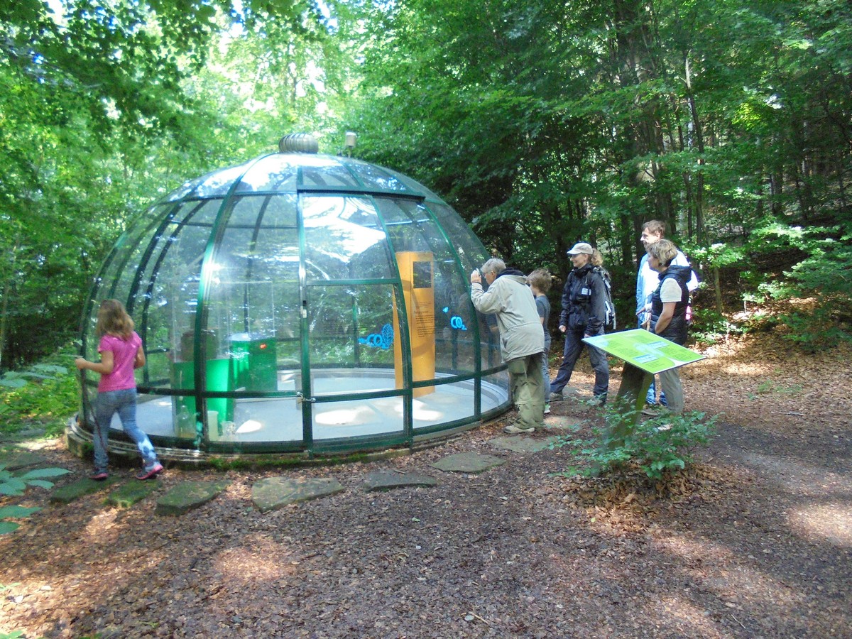 Infos über die NAJU Gött: Besuch im Erlebniswald  Schönhagen im August 2016