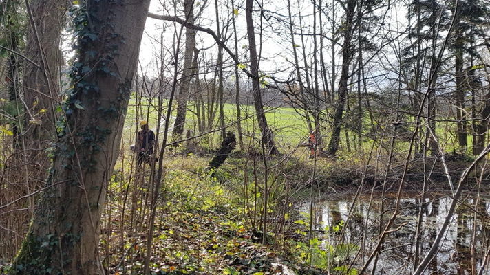 Aufarbeitung Schutzgebiet Groß Lengden