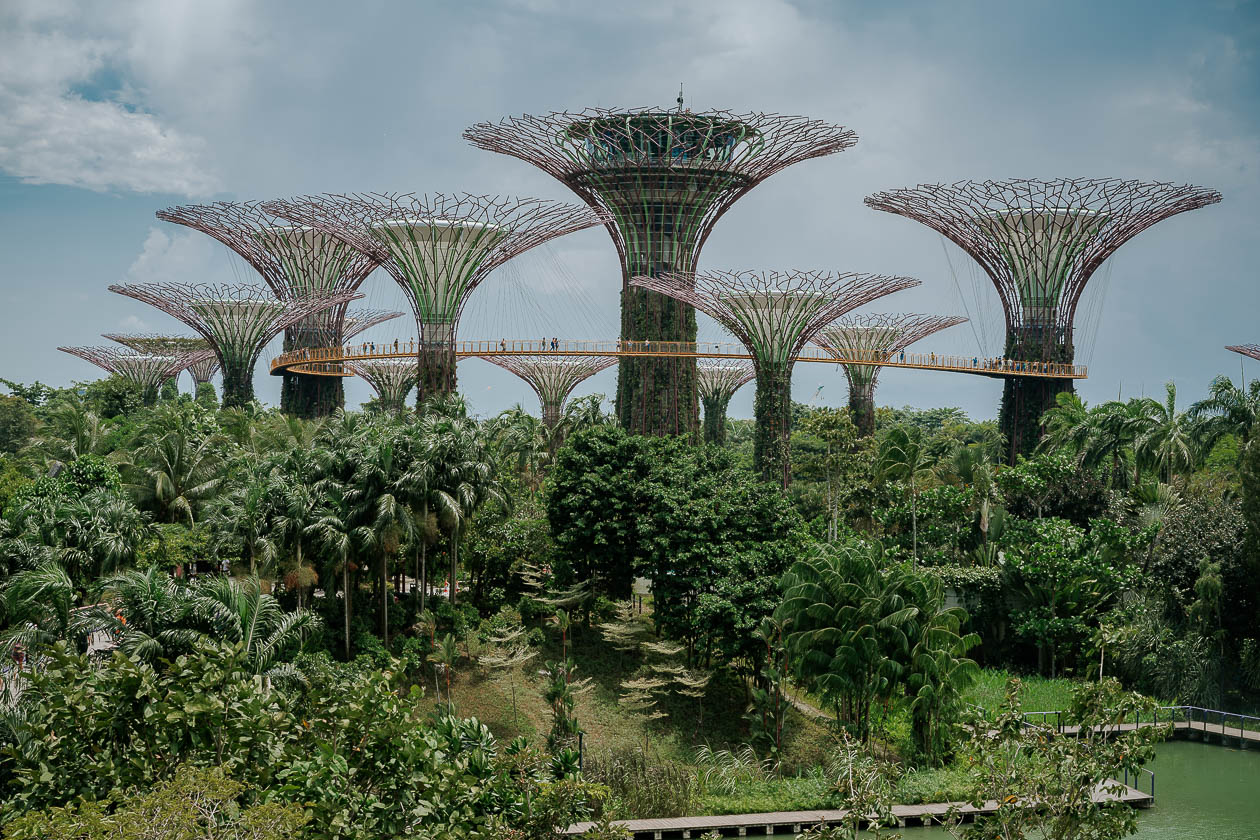 Gardens by the Bay