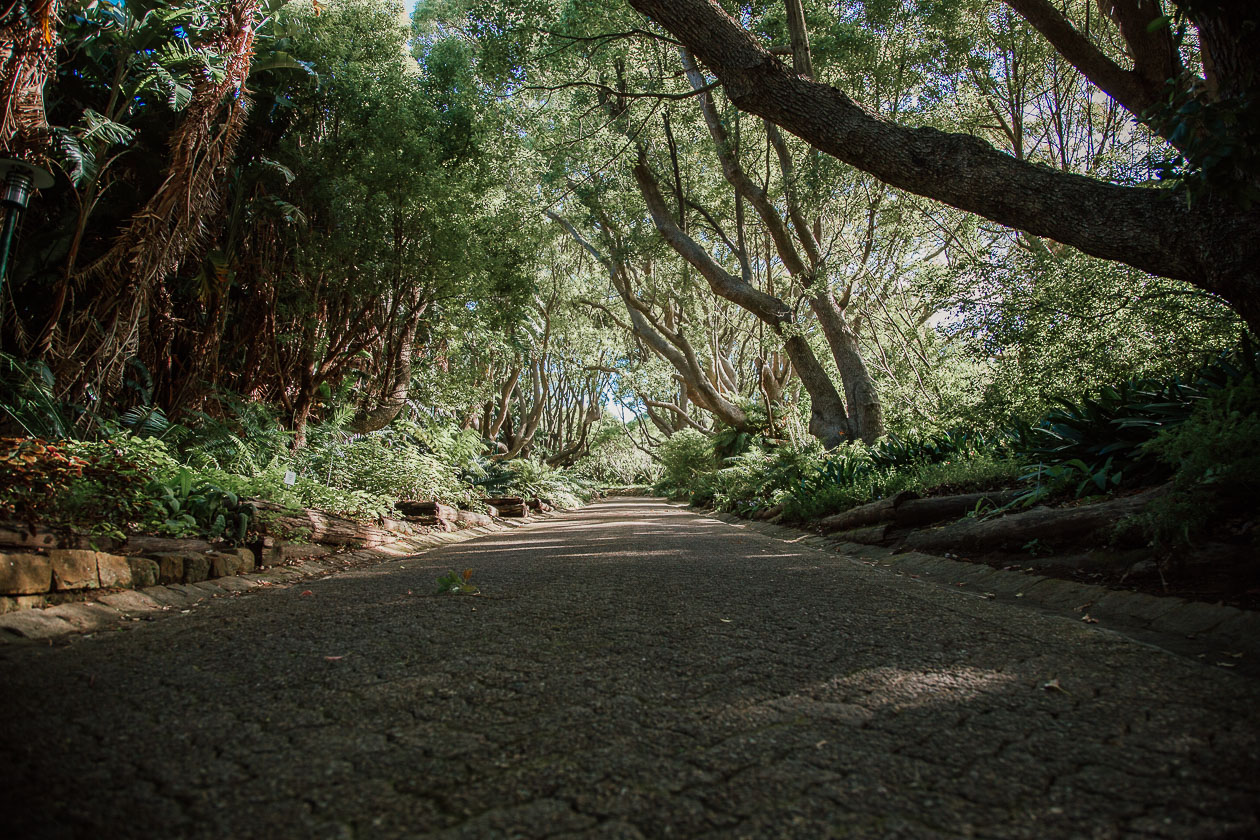 Botanischer Garten Kirstenbosch