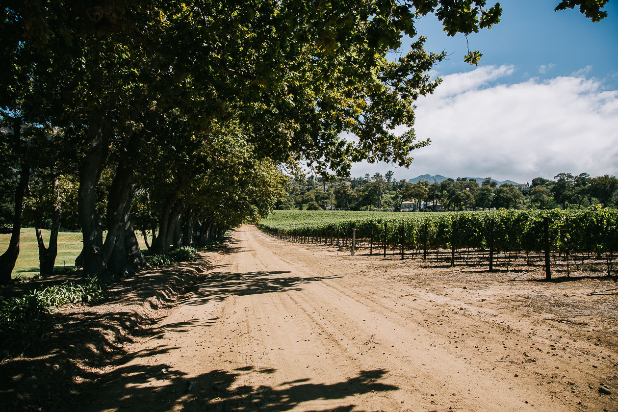 Weingut Beyerskloof