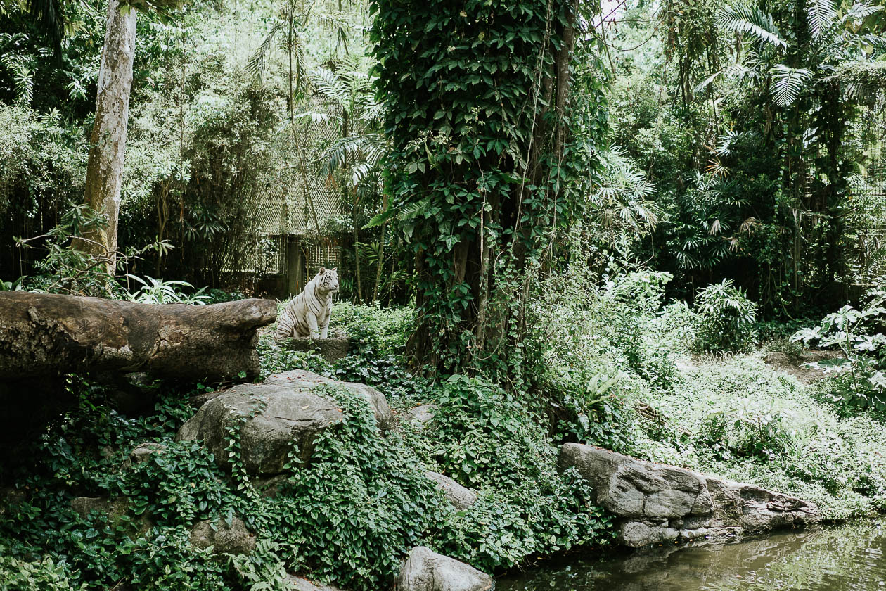 Singapur Zoo