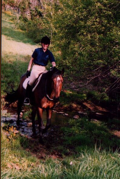 Riding horse bridleless through a stream