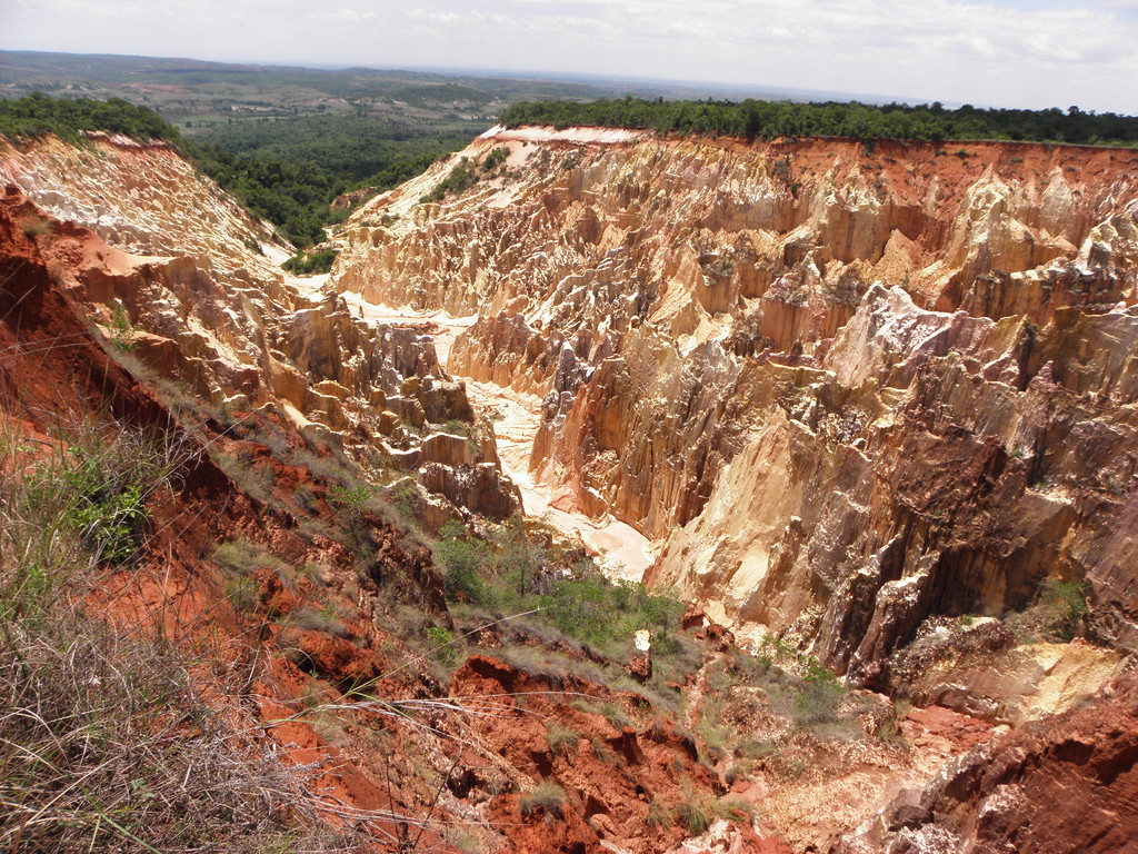 Ankarafantsika National Park, Madagascar