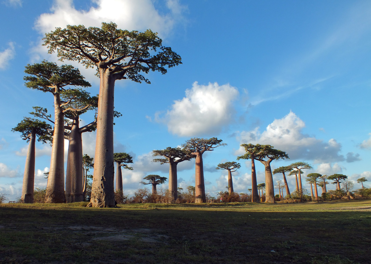 Morondava, Madagascar
