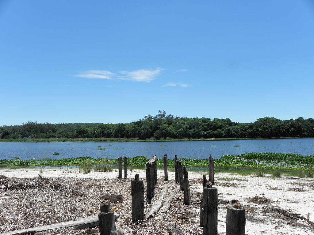 Ankarafantsika National Park, Madagascar