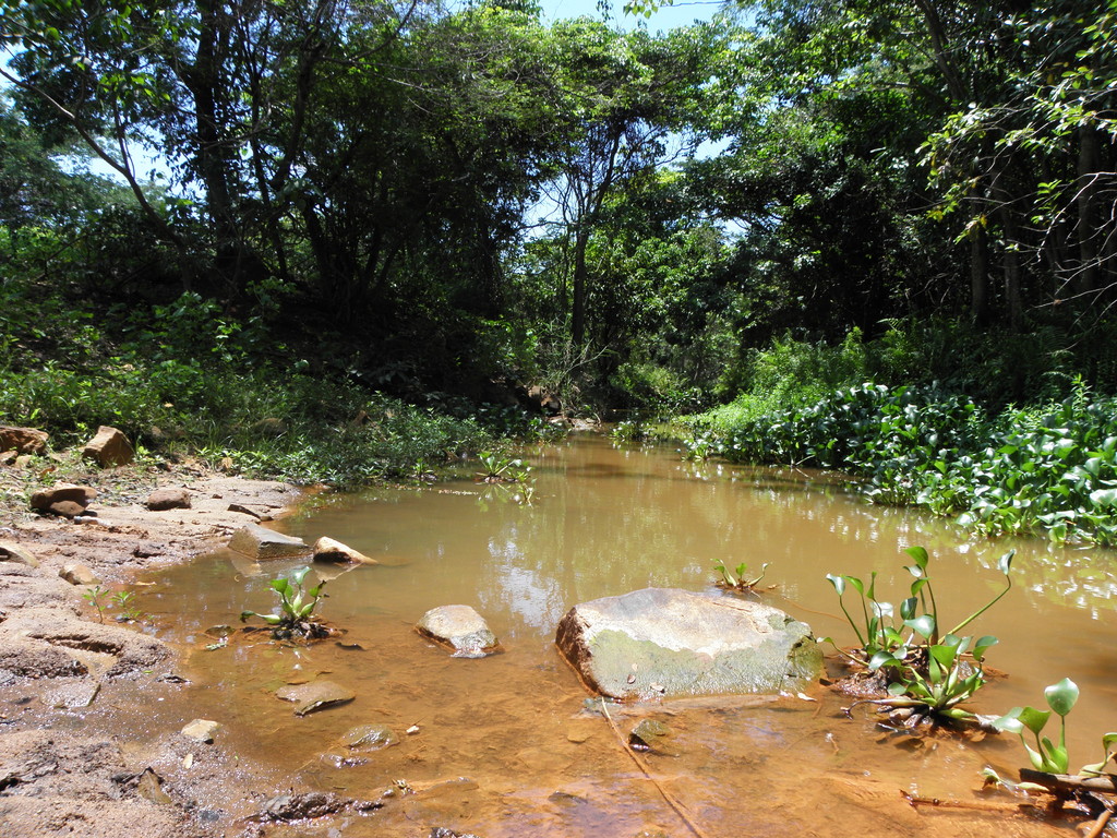 Ankarafantsika National Park, Madagascar
