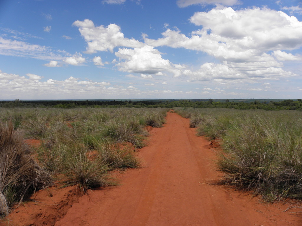 Ankarafantsika National Park, Madagascar