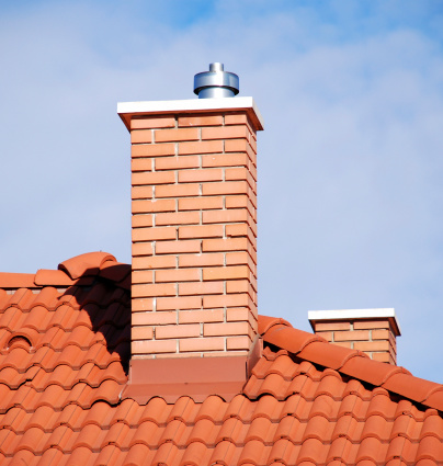ALERTE NUISIBLES : Pourquoi Dardard devient le numéro 1 de la protection des toitures et terrasses à Toulouse cet été ?