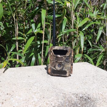 caméra de chasse pour les rats