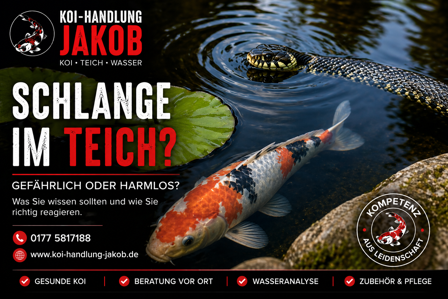 Schlange im Koiteich – gefährlich oder harmlos?