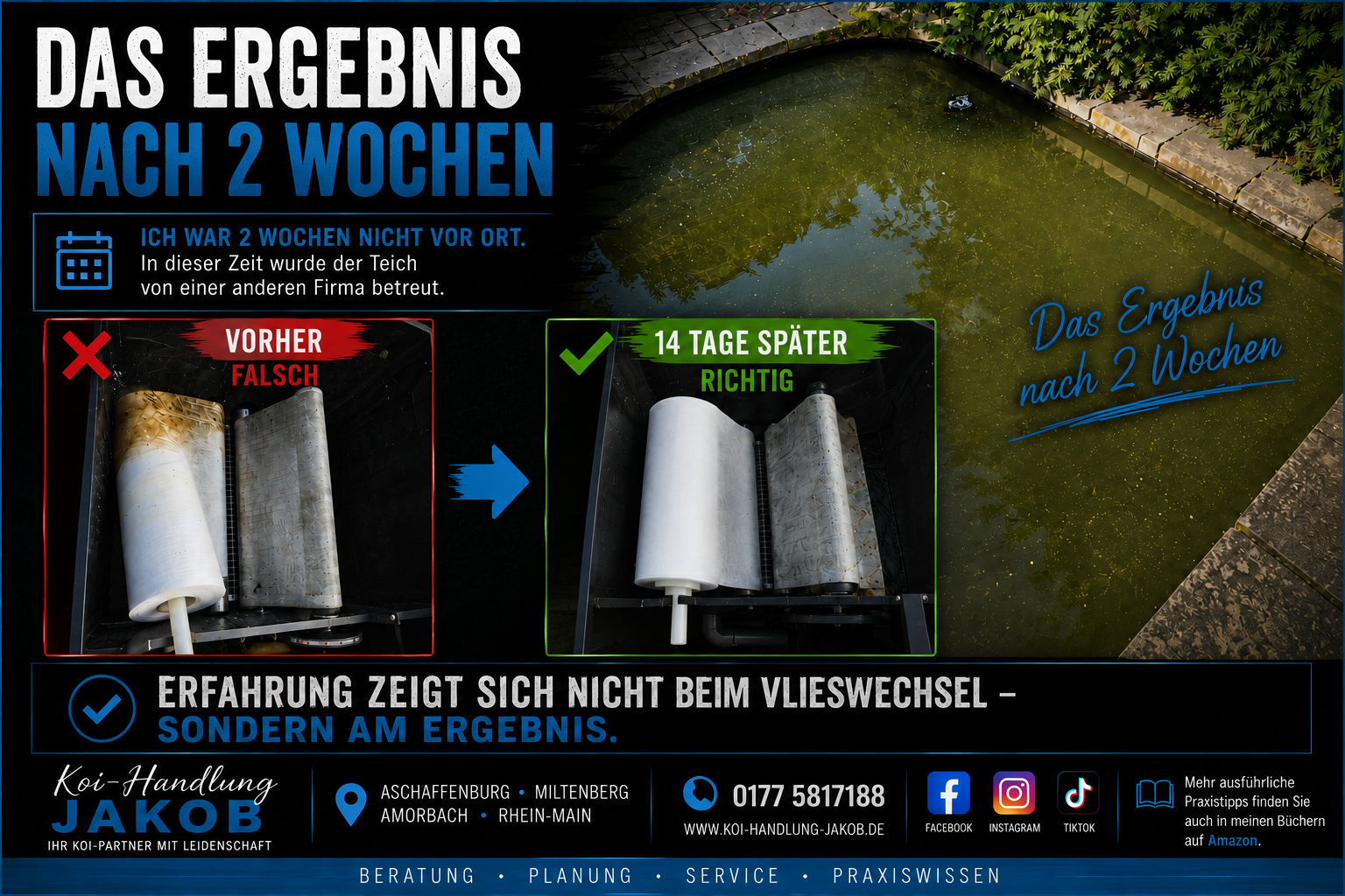 Falsch eingelegte Vliesrolle? Das Ergebnis nach 2 Wochen