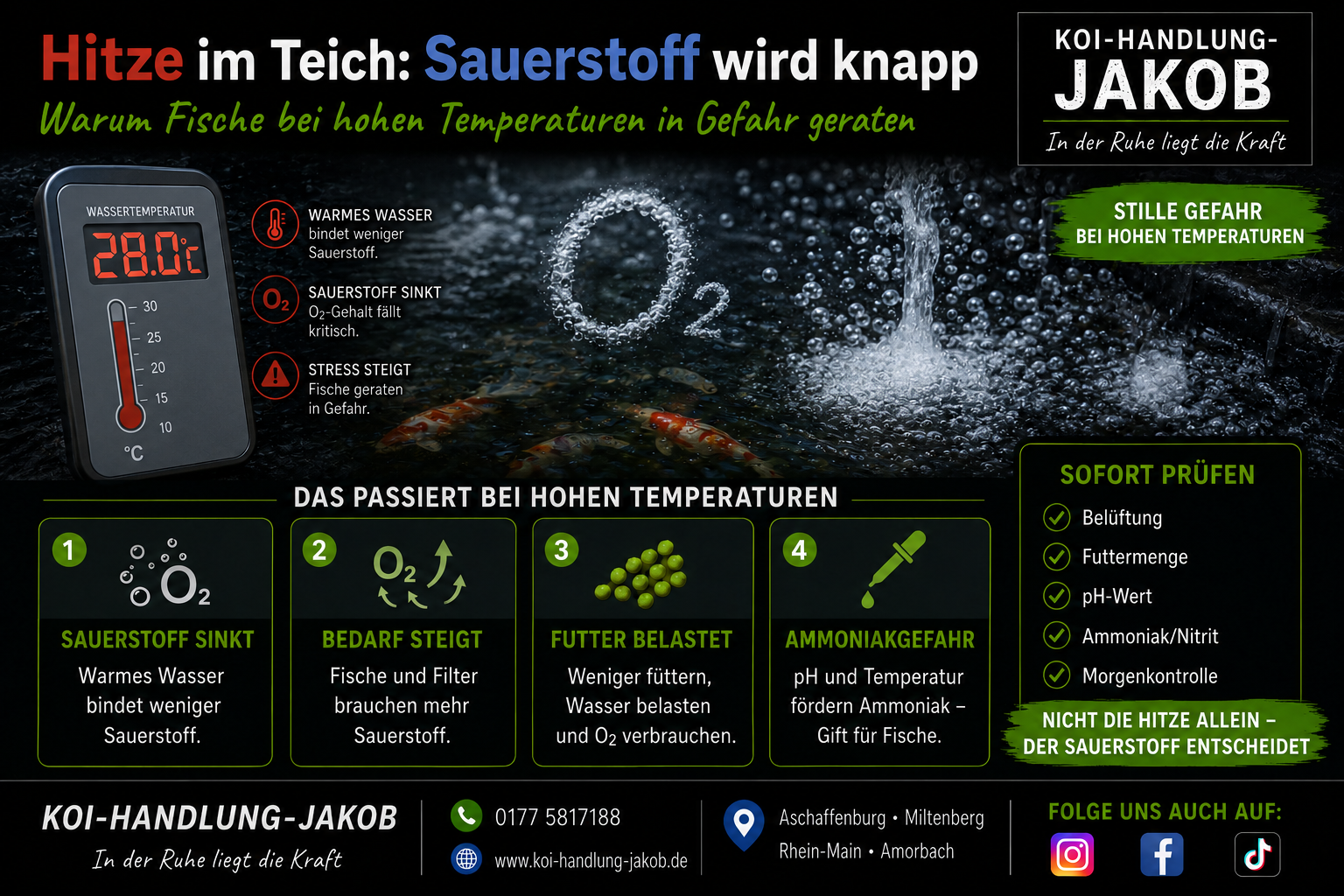 Warum sterben Fische bei Hitze? Sauerstoffmangel im Koiteich richtig verstehen