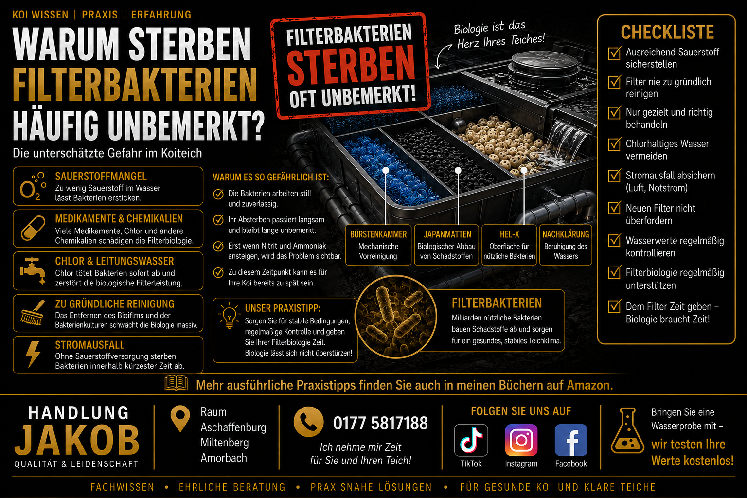 Warum sterben Filterbakterien häufig unbemerkt? Die unterschätzte Gefahr im Koiteich