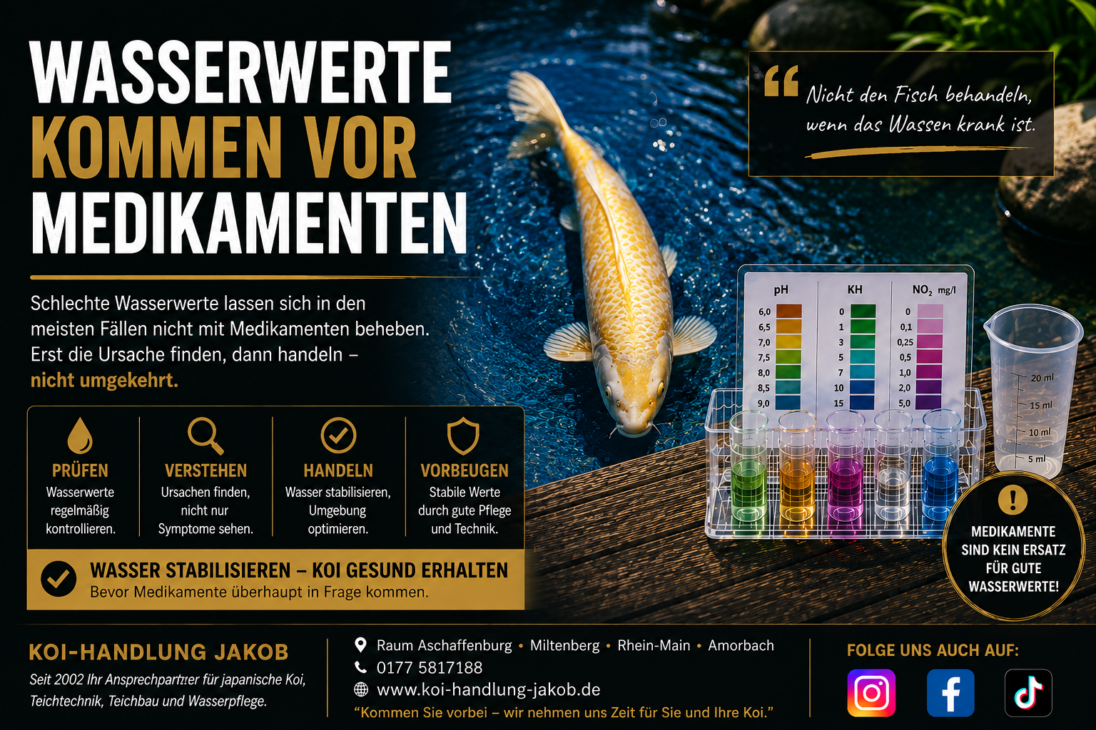 Warum gute Wasserwerte wichtiger sind als Medikamente – Der häufigste Fehler bei Koi-Problemen