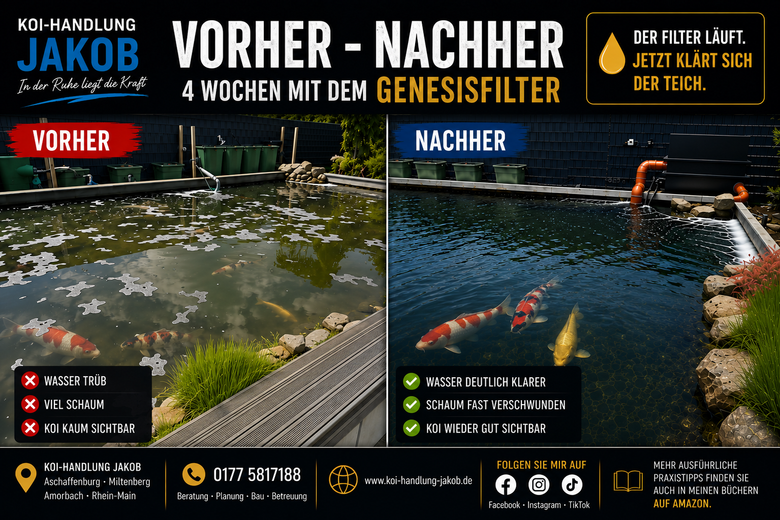 Vorher–Nachher: So verändert ein Genesisfilter Ihren Koiteich in nur 4 Wochen