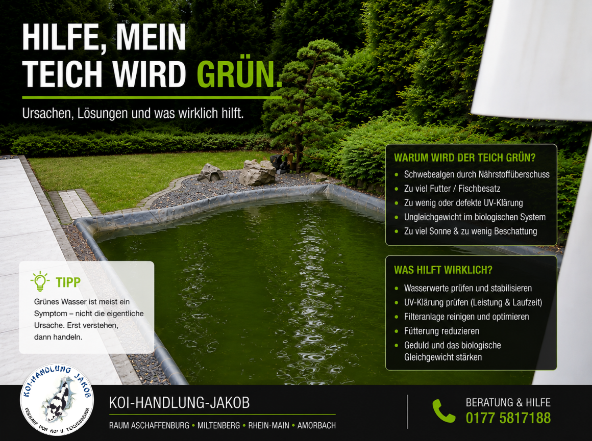 Hilfe mein Teich ist grün