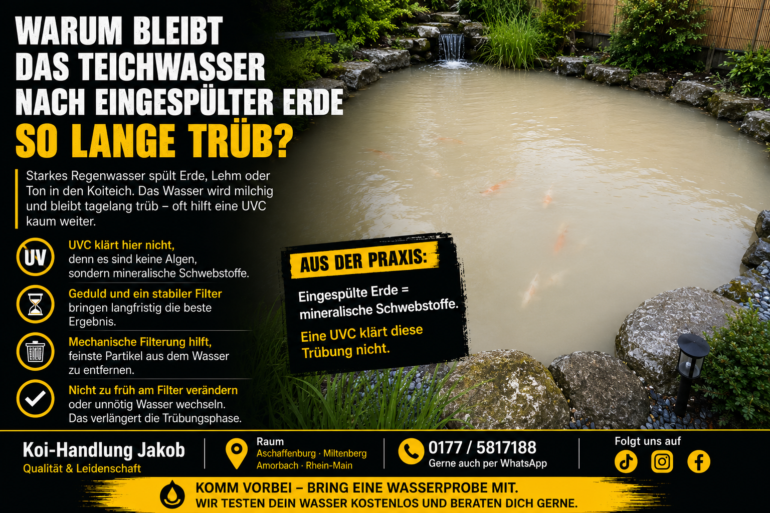 Warum bleibt das Teichwasser nach eingespülter Erde so lange trüb?