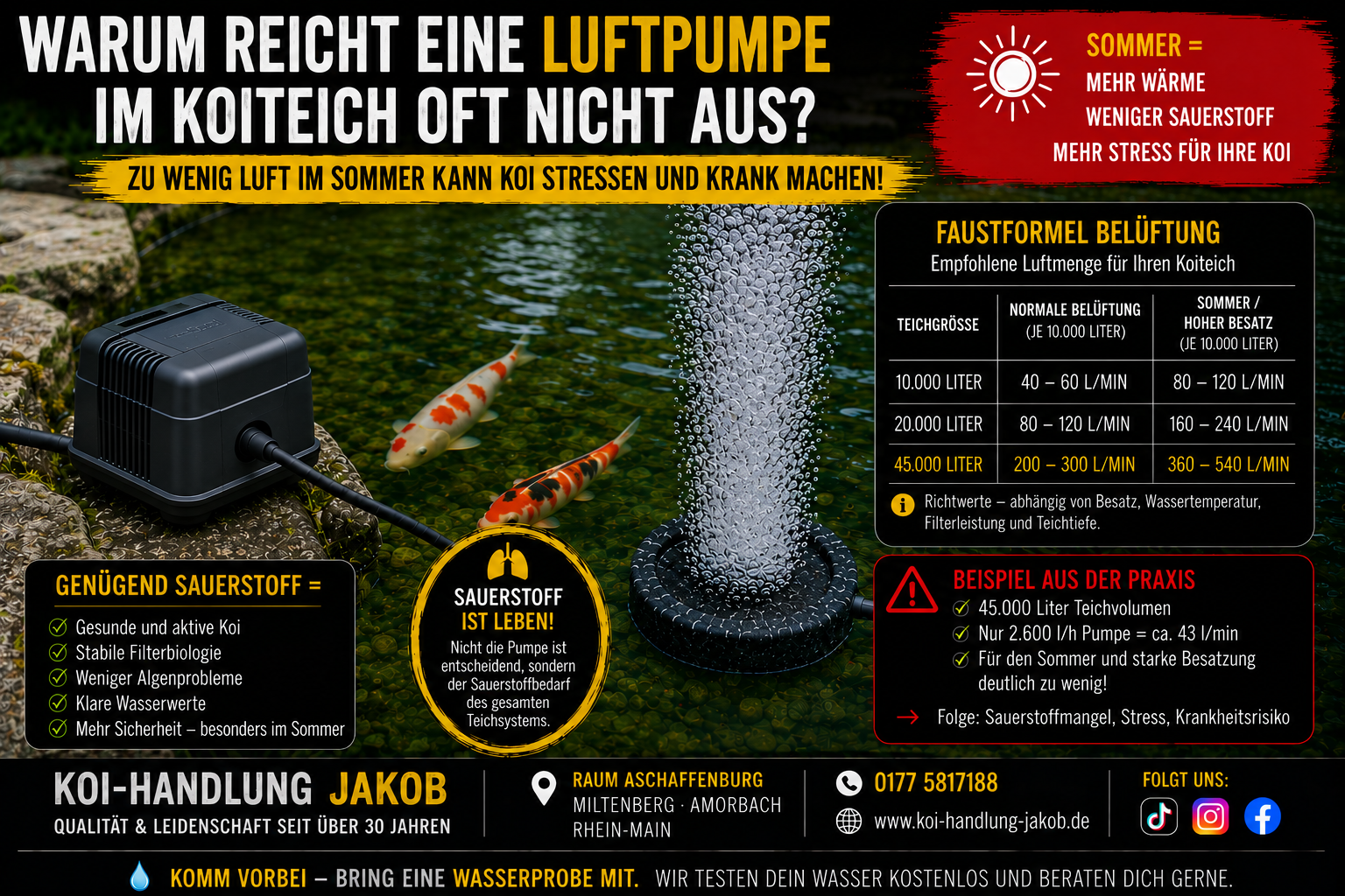 Warum eine Luftpumpe im Koiteich oft nicht ausreicht – Sauerstoffmangel als unterschätztes Sommerproblem