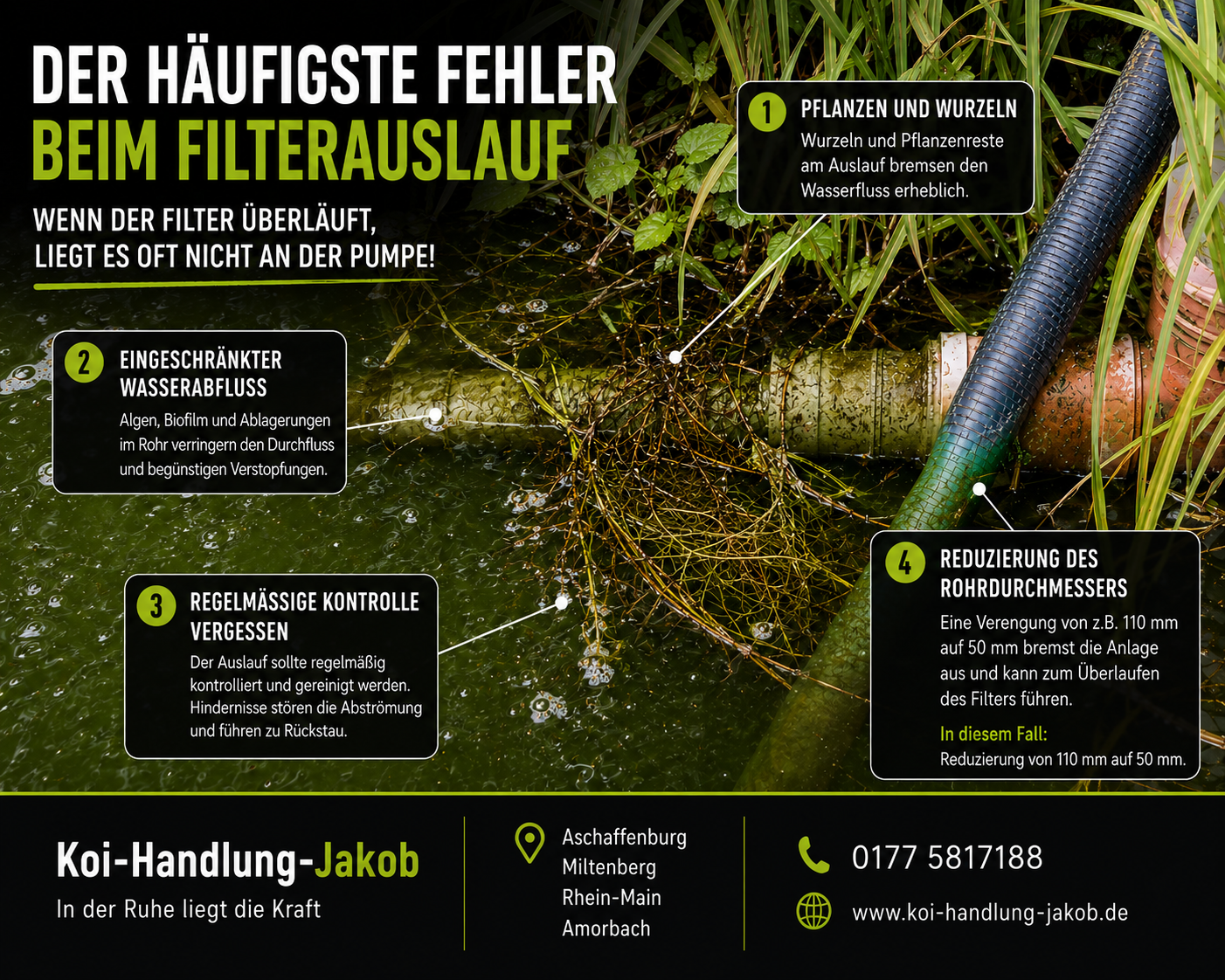 Der häufigste Fehler beim Filterauslauf im Koiteich – warum der Filter plötzlich überläuft