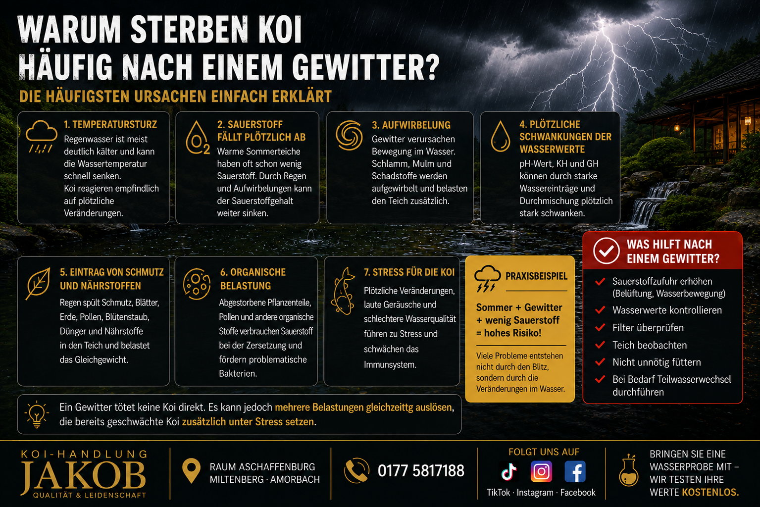 Warum sterben Koi häufig nach einem Gewitter? Die häufigsten Ursachen einfach erklärt