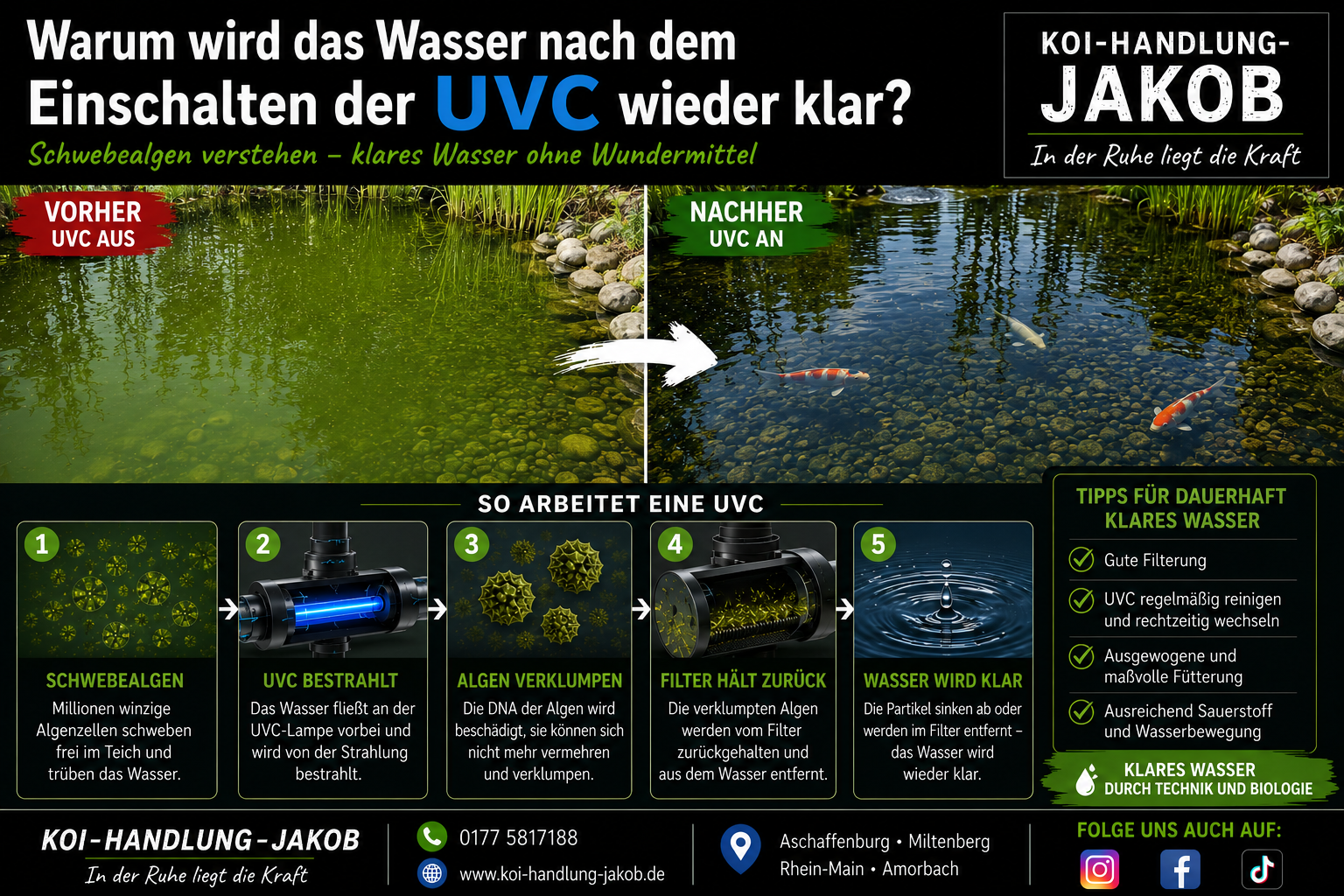 Warum wird das Wasser nach dem Einschalten der UVC wieder klar?