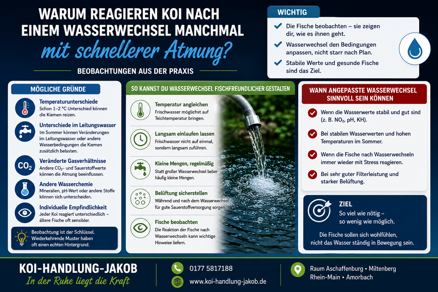 Koi atmen nach dem Wasserwechsel schneller – Ursachen und Beobachtungen aus der Praxis