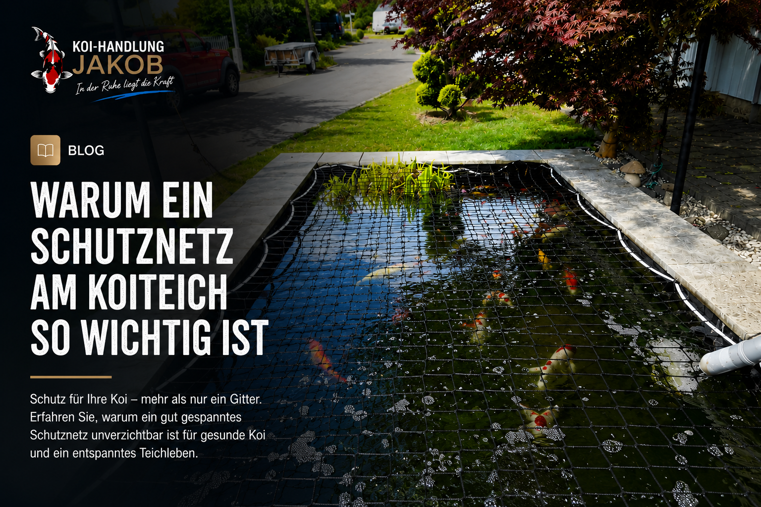 Warum ein Schutznetz am Koiteich oft unterschätzt wird