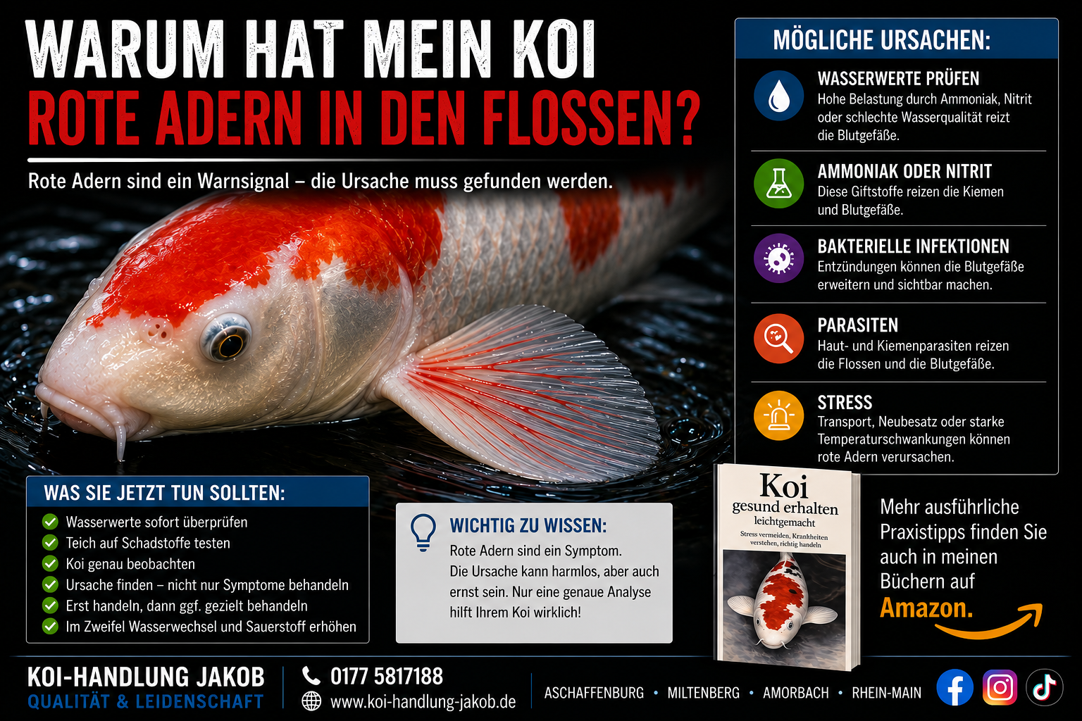 Warum zeigen Koi plötzlich rote Adern in den Flossen?