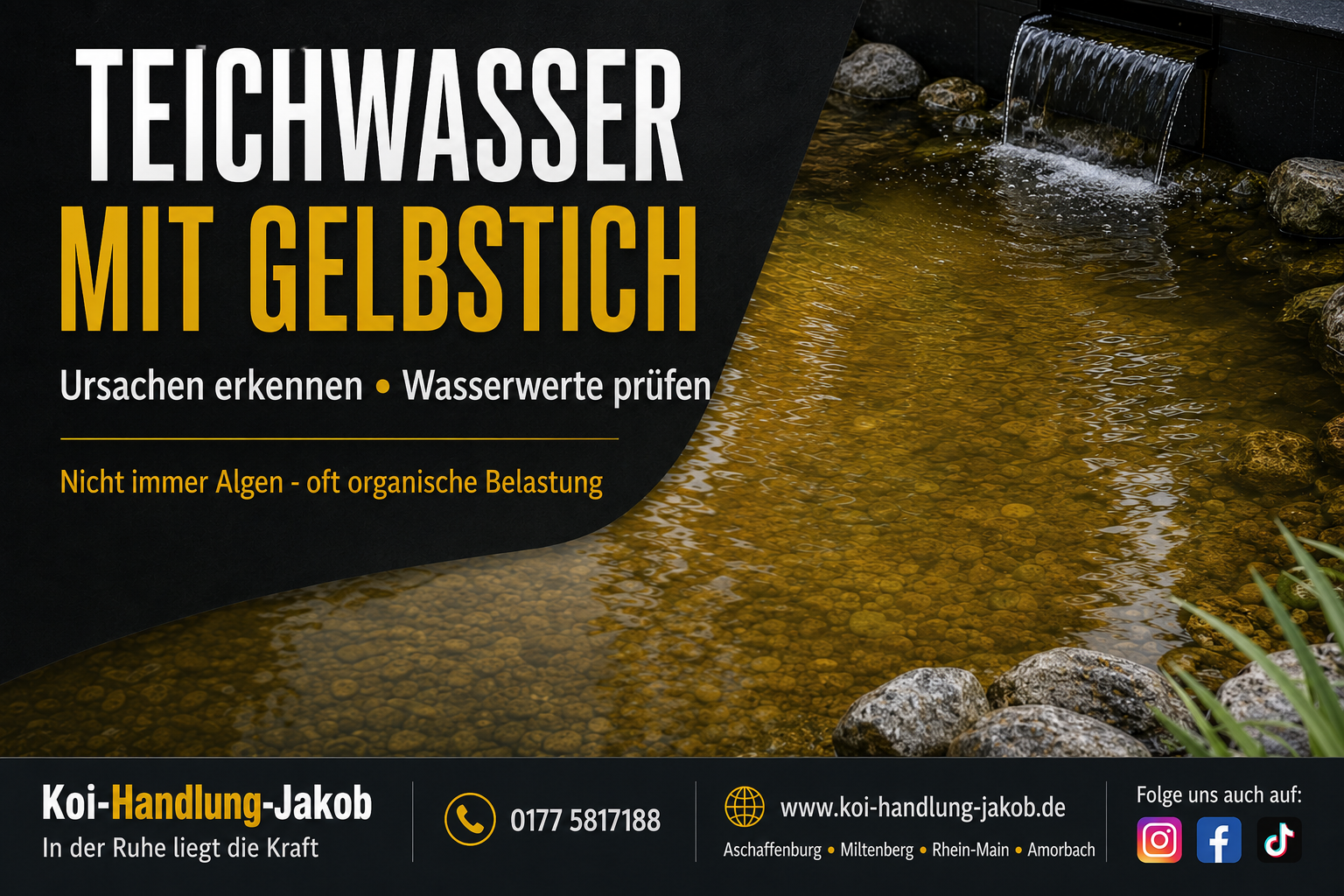 Warum hat mein Teichwasser einen Gelbstich? Ursachen und Lösungen im Koiteich