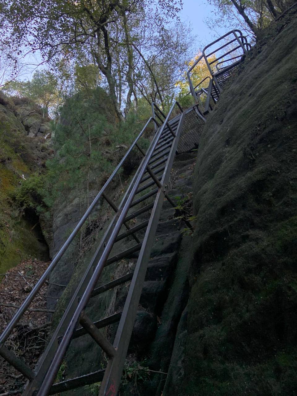 Freiheitsfuror