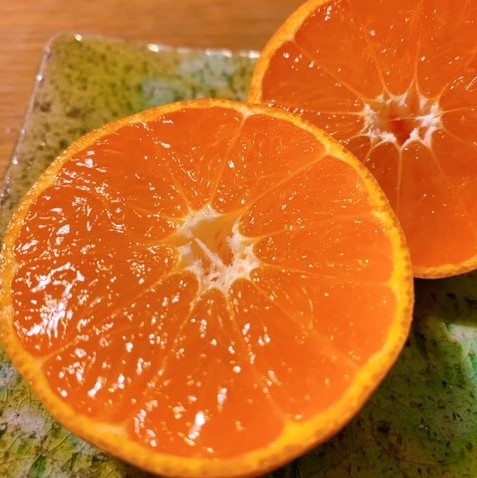 限定 80箱 幻の南濃みかん 岐阜県海津市 北風と太陽