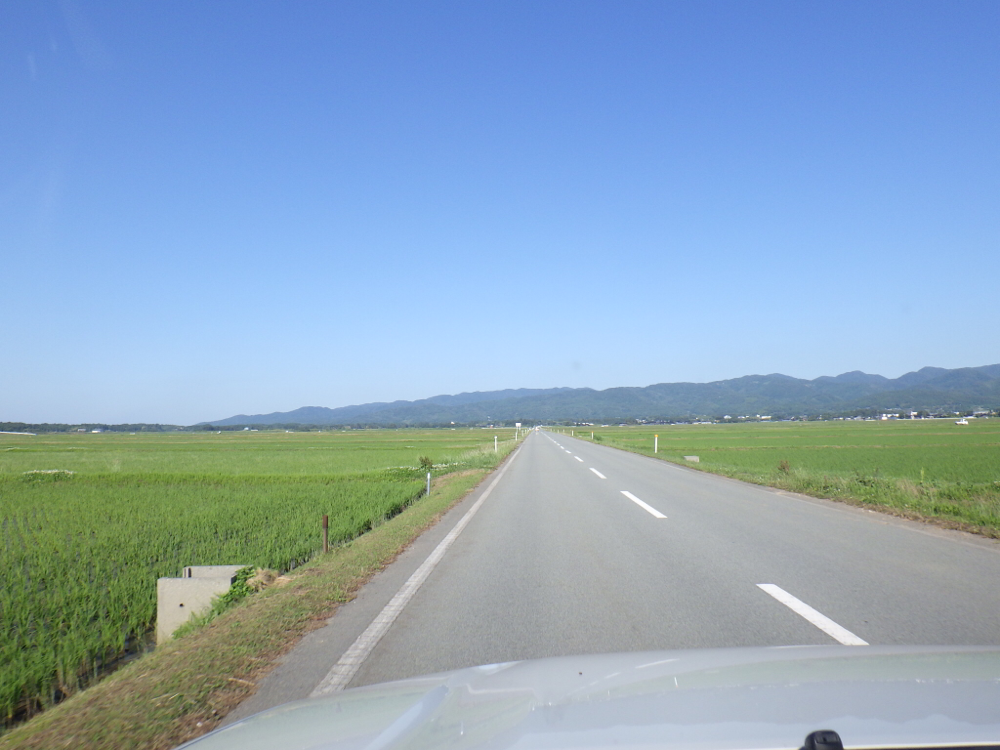 少し北海道っぽい見渡す限りの水田