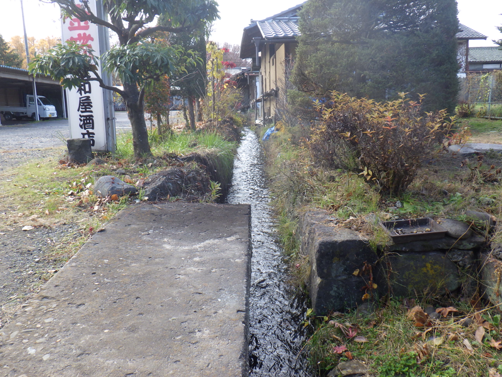 町中の水路って気になりますね