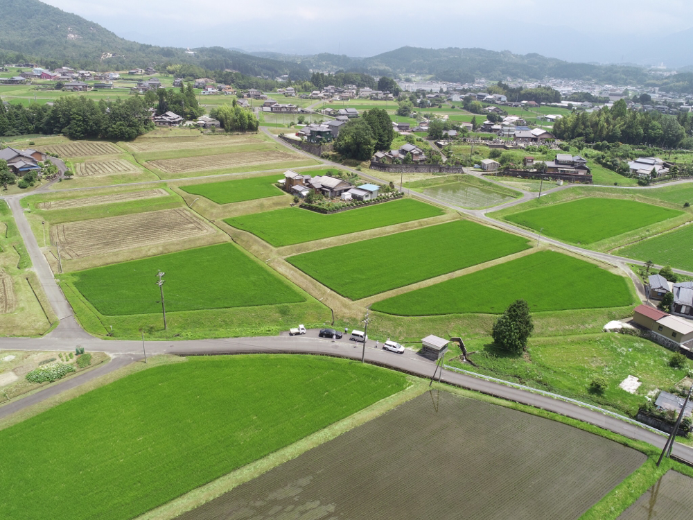 中津川市苗木は丘陵地に水田が広がる地域