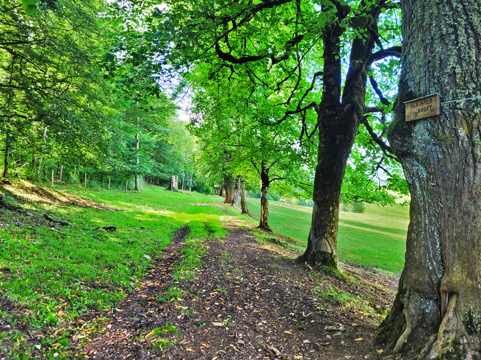 Allee der Naturalisten in Combe Varin.