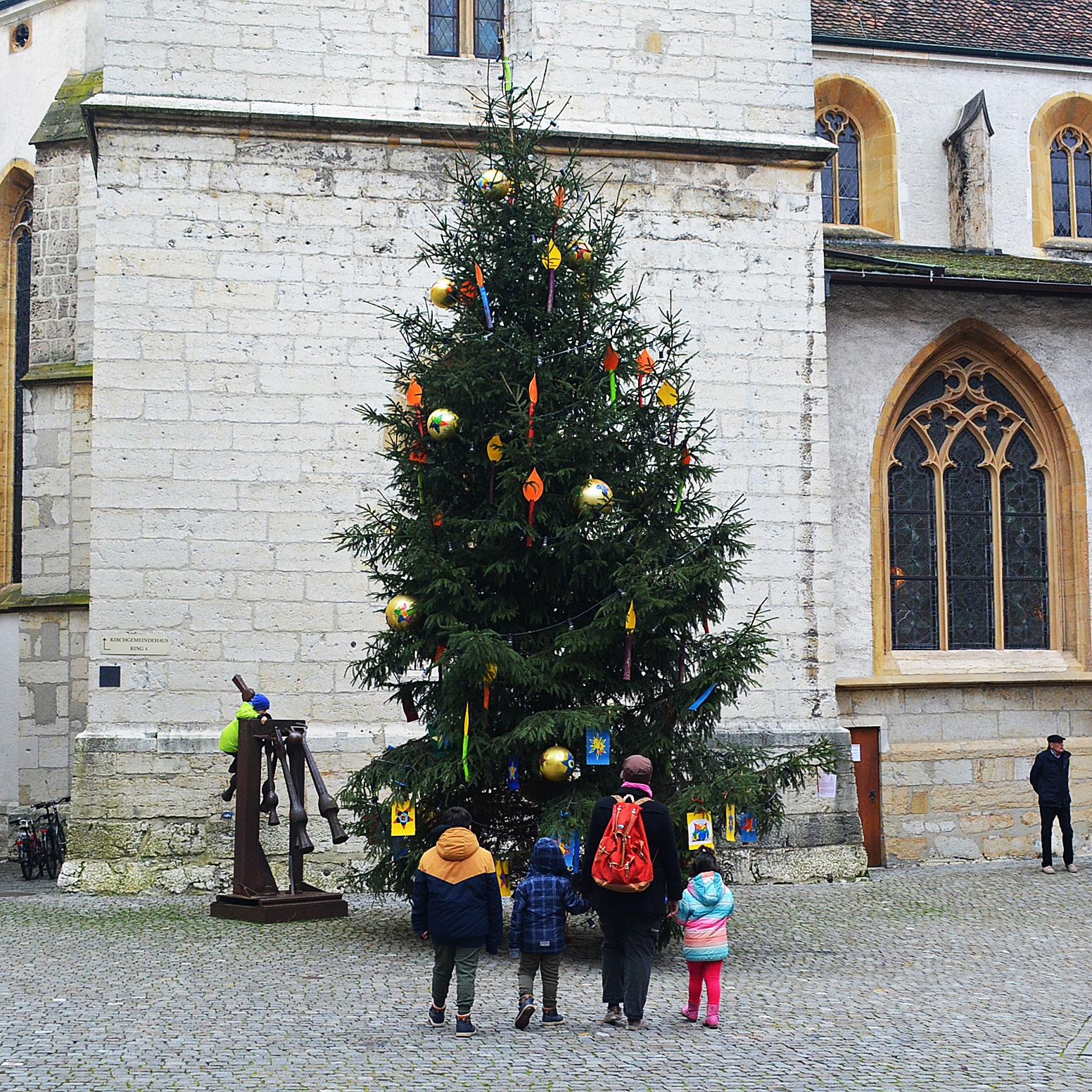 Tannenbaum im Ring