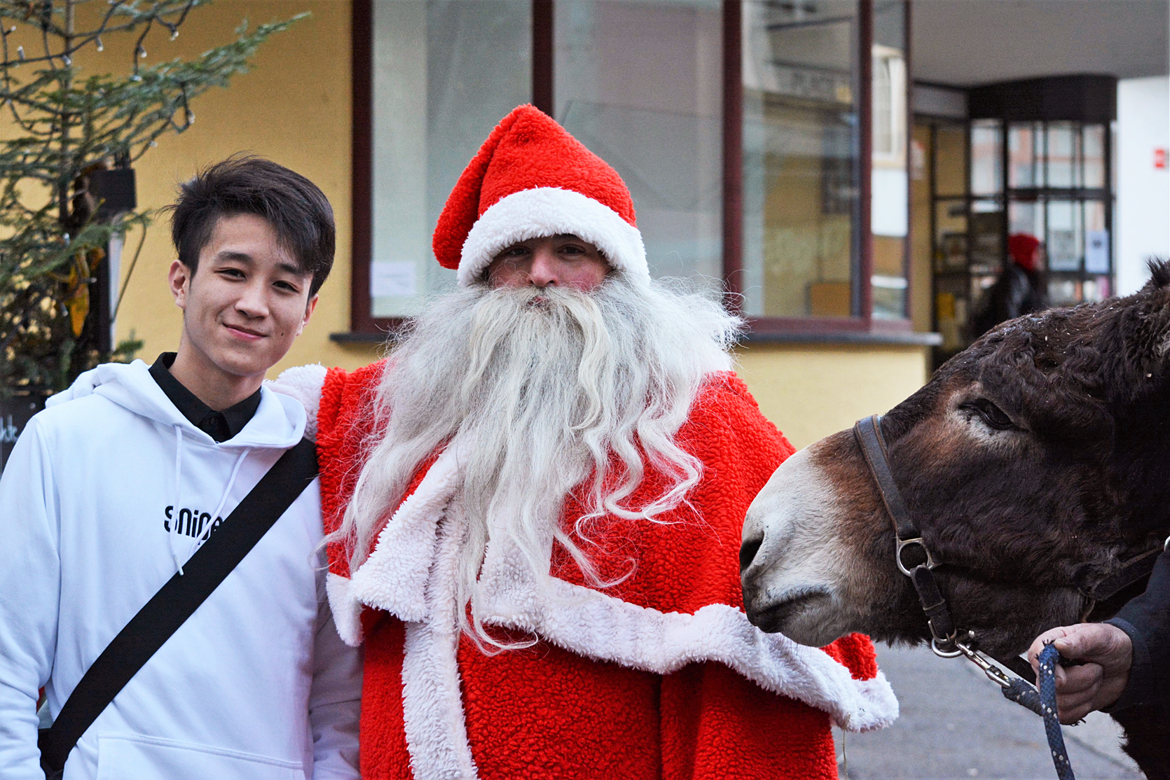 Unterwegs zum Ring hält Santichlaus für Fotos an. Der Esel drückt Schmutzli zur Seite und drängt sich ins Bild.