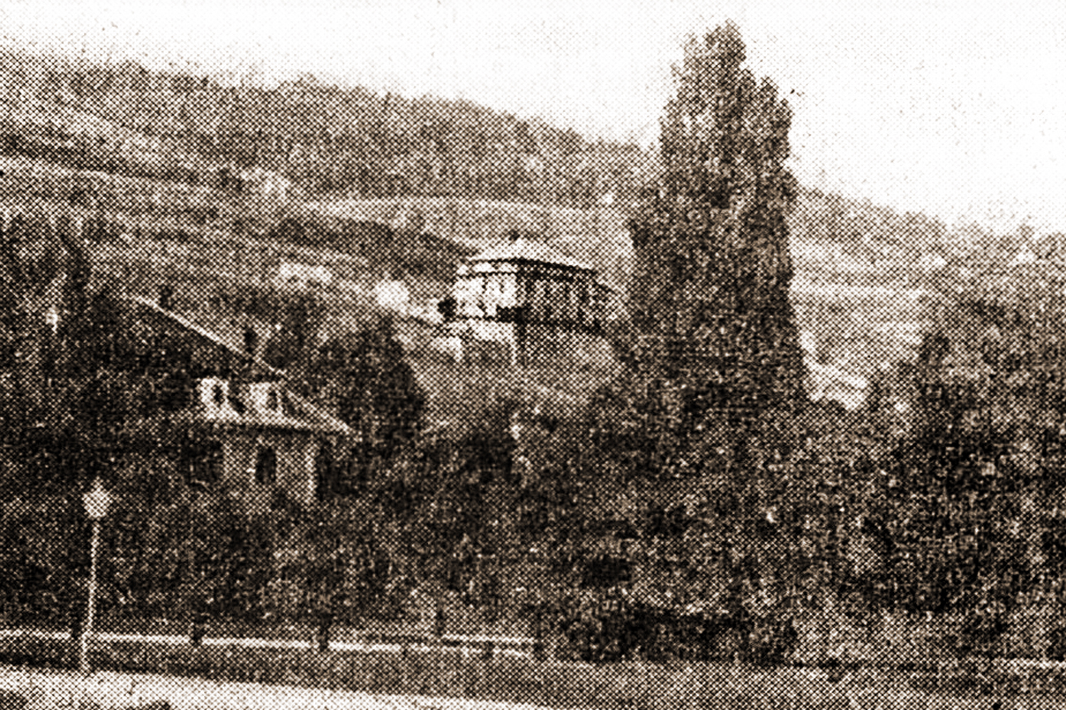 Hermann aegler shop