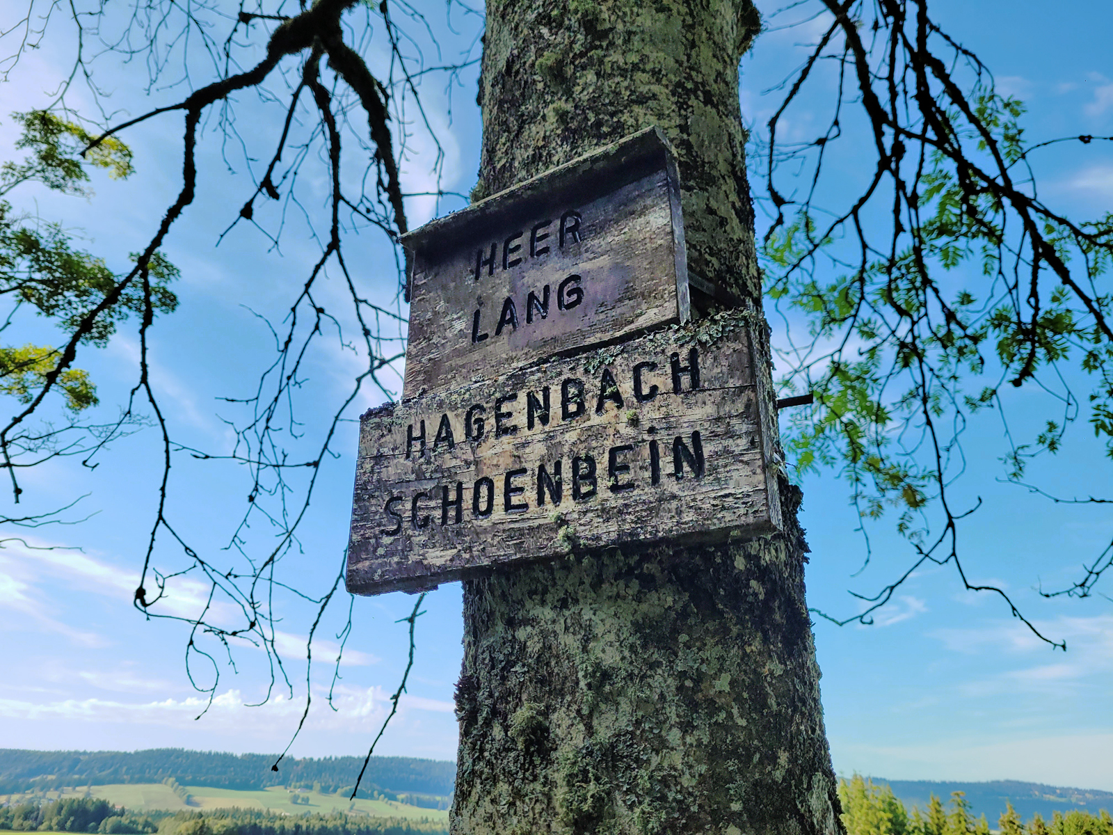 Oswald Heer, 1809-1883, Glarner Naturforscher. - Franz Vinzenz Lang, 1821-1899, Geologe - Eduard Hagenbach-Bischoff, 1833-1910, Basler Physiker, Gründer vom Bernoullianum. - Christian Friedrich Schönbein, 1799-1868, Entdecker des Ozons.