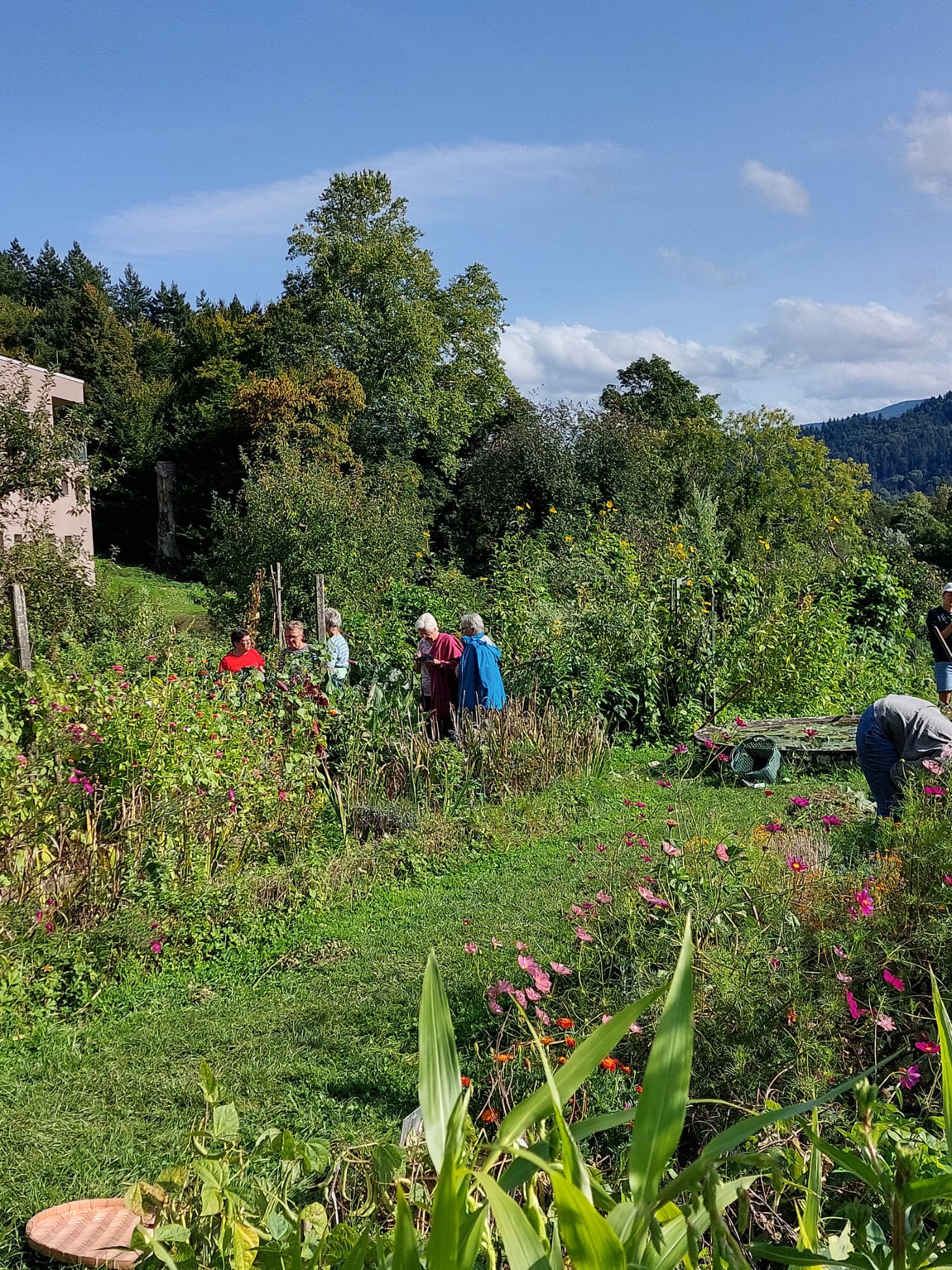 Besichtigung vom Garten in der Kartaus September 2025